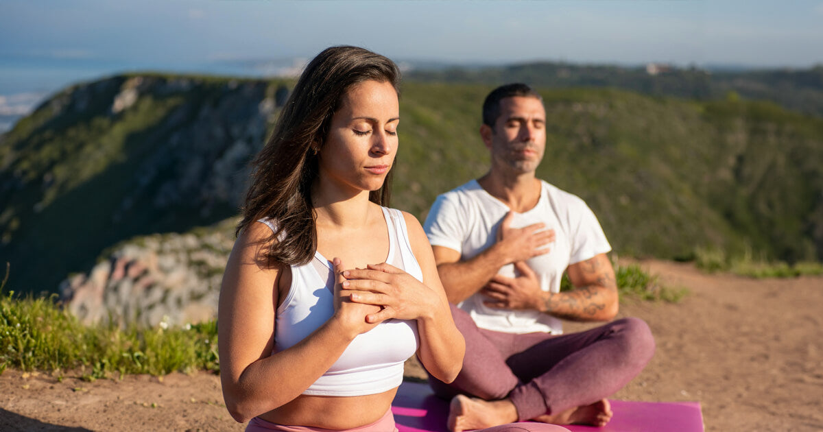 AshwaMeric: Ayurvedic Blend for Modern Life's Stress and Wellness Needs