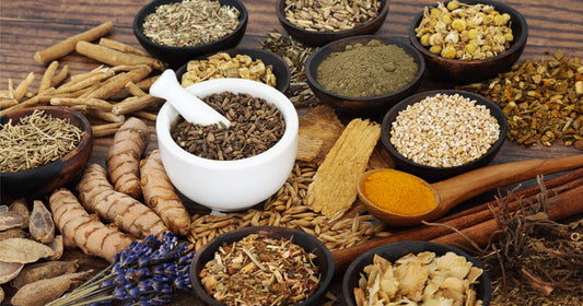 Understanding the Synergistic Power of Adaptogens Through an Ayurvedic Lens
