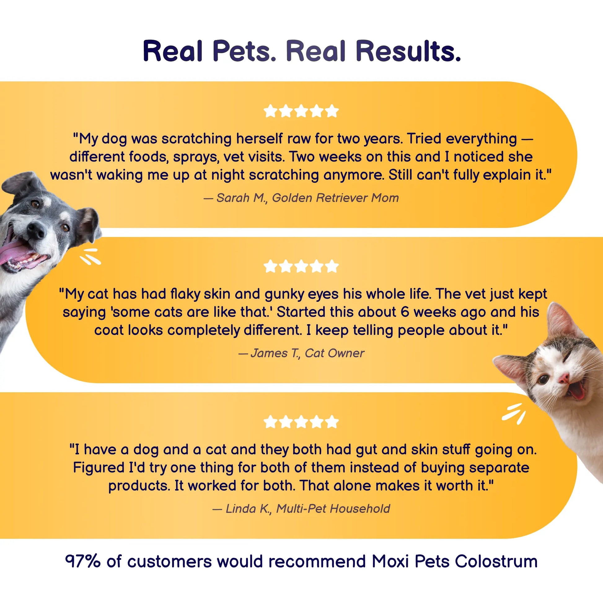 Moxi Pets Colostrum with dog and cat testimonial quotes on a yellow background.