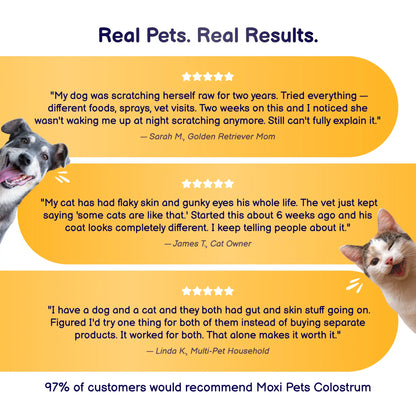 Moxi Pets Colostrum with dog and cat testimonial quotes on a yellow background.